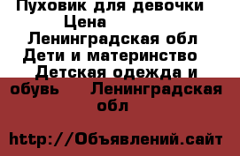 Пуховик для девочки › Цена ­ 1 000 - Ленинградская обл. Дети и материнство » Детская одежда и обувь   . Ленинградская обл.